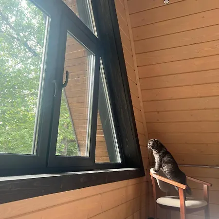 Valley Hills-котедж на схилах гір з чаном-джакузі *