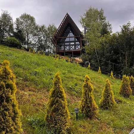 Valley Hills-котедж на схилах гір з чаном-джакузі Daire Slavske